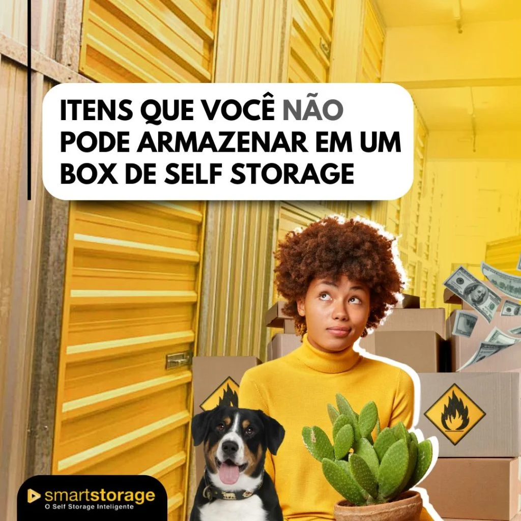 Itens que você não deve armazenar em um self storage 4444-5444
